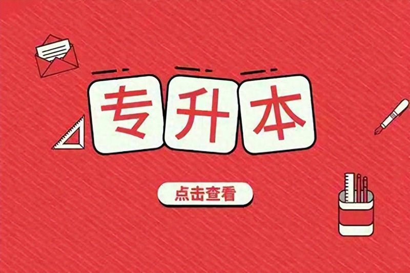 新势力教育